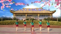安庆小红人广场舞-小葡萄-原创编舞 黄梅飘香 团队背面