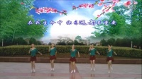 安庆小红人广场舞-小葡萄-原创编舞 黄梅飘香 团队正面