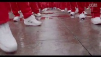 红舞联盟“最大规模排舞/广场舞”吉尼斯世界纪录挑战回顾【震撼发布】