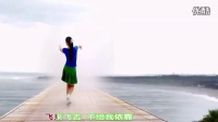 2015热门广场舞蹈视频大全 广场舞教学 爱情36度8