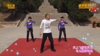 莲子的舞，转载乾县潇洒广场舞健身操系列，