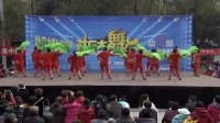 广场舞王 第二季 第六期 我的祖国 凤凰舞蹈队 王凤丽