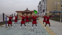 舞动中国胡厂广场舞
