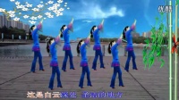 2015年最新广场舞【月亮传奇】简单易学广场舞蹈视频大全