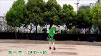 惠汝广场舞最新《老婆是天》广场舞蹈视频大全2015分解慢动作