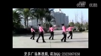 学跳广场舞，学广场舞基本步法广场舞视频