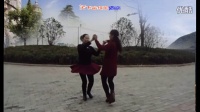 桃花森林广场舞  双人对跳   《最美天下》