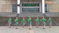 紫蝶踏歌广场舞《梦里花香》- 糖豆网广场舞视频大全
