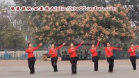云裳馨悦广场舞--《最爱民族风》广场舞蹈视频大全2015