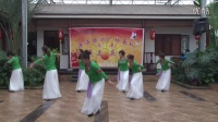 奎屯市舞蹈协会 瀚海绿洲广场舞队 周年庆典汇演 编导林凤英舞蹈《山谷里的思念》