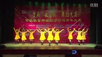 新河广场舞队的精彩表演【最炫中国梦】在剧院比赛拍摄下来的