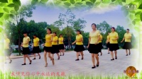 最炫民族风 五周年纪念版 穿心村广场舞