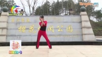 春节推荐 yangliping原创广场舞 天涯海角也会一路顺风 现代舞_广场舞视频在线观看 - 280广