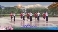 双人广场舞视频大全《春雨恋春风》