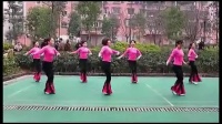 (心中的歌儿献给金珠玛) 周思萍广场舞教学视频大全_标清