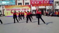 健身球 舞动中国 花思雨广场舞