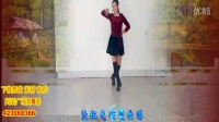 阿采2016最新广场舞《火》最热门简单易学广场舞蹈视频大全