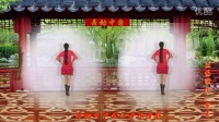 滨河紫玉广场舞 舞动中国 最新广场舞 凤凰传奇演唱 刘蓉编舞