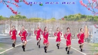 宁静广场舞《中国广场舞》演示张莉团队，编舞：蝶依