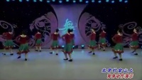2016杨艺王梅广场舞《北京的金山上》背身