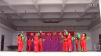 北相镇开心艺术团 正月十五闹花灯  《广场舞变队形》