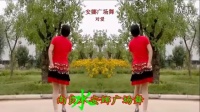 南良水 安娜广场舞【对爱】杰亮广场舞 视频制作_高清