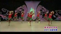 2016杨艺王梅广场舞 贼溜溜的情歌 创意杨艺 编舞王梅 正反面动作演示 演唱雨燕