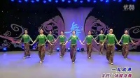 2016杨艺応子广场舞 一起跳舞 正面演示