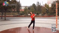 北京雪莲广场舞《致青春》