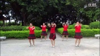 学跳广场舞最炫民族风舞蹈(8)