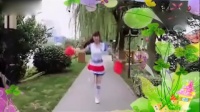 2016年最流行广场舞双人舞《小苹果》教学视频
