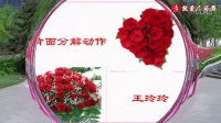 北京红灯笼广场舞《新疆玫瑰》原创编舞附教学