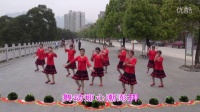 大化榕树之声 中国广场舞