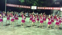 2016年4月27日庆祝五.一劳动节广场舞汇演      潮州市龙湖健身队《舞动中国串烧辣妈》变形舞