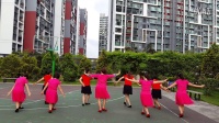 深圳公明街心公园开心一聚广场舞妈妈的歌谣