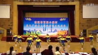 中国广场舞 海安县小康村大赛南莫广场舞健身队