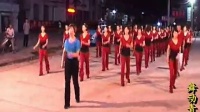 迪斯科广场舞，美了美了，莱州舞动青春舞蹈队 16步（流畅）_576x432_2.00M_h.264