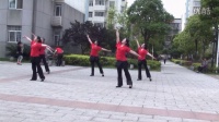 楚文文广场舞 蓝天舞蹈队 《美丽的浏阳河》
