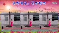 广西云淡轻风广场舞【今生爱你不后悔】编舞阿娜