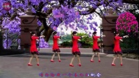游城广场舞《紫玫瑰》_标清