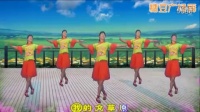 湘祁养生www.yhys.com《奔跑吧草原》（编舞：春天）_广场舞视频在线观看 - 280广场舞