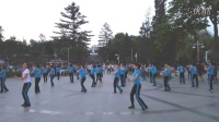 延边州广场健身舞协会-公园表演实况