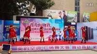 高邑县美的空调广场舞大赛[注满舞池]表演：万城苗苗舞蹈队舞蹈队