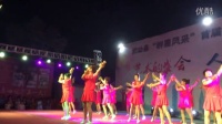 武功县普集街乡街道广场舞舞蹈团队--舞动中国.MOV
