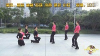 印度藏歌（含分解）－西湖莉莉广场舞