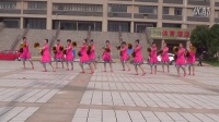 临泉百花广场舞跳到北京