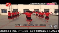 【博野拍客】河北电视台：蠡县南沙口村广场舞
