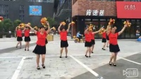 韩儿凤广场舞变形队 中国歌最美