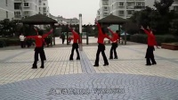 踏浪舞蹈视频 踏浪广场舞视频 广场舞踏浪16步