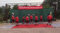 青鑫舞蹈队庆典演出风从草原来广场舞